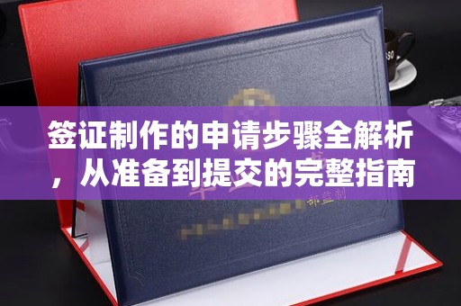崇仁签证制作的申请步骤全解析，从准备到提交的完整指南