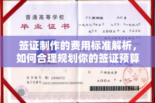 崇仁签证制作的费用标准解析，如何合理规划你的签证预算
